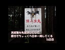 再就職を先延ばしにして原付でちょっくら日本一周してくる【16日目】