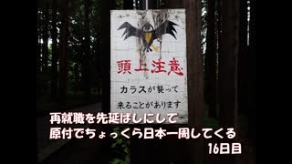 再就職を先延ばしにして原付でちょっくら日本一周してくる【16日目】