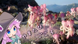やまたびごころ / 四国めたん