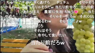 2025/08/08 14:30【かなた@ニコ生】夏のブドウ狩りにいくよ～ん！