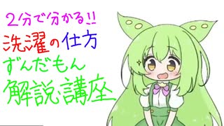 【２分で分かる！】【ずんだもん解説・講座】洗濯の仕方