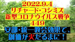 【2022年09月04日 ：『 リチャード・コシミズ「 Internet Lecture 」｟ 新型コロナウイルス戦争編 ｠｟ LIVE ｠｟ 改良版 ｠』】