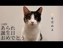 誕生日おめでとう猫【あられ2025】【大遅刻】