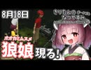 【ボイスロイド実況】きりたんのなつやすみポータブル18日目 【ぼくのなつやすみポータブル】