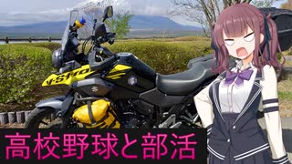 【Cevio車載】三娘が駄弁る【雑談車載】
