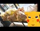 ホモと見るポケモンコラボでとんでもないことになるマクドナルド