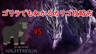 【ナイトレイン】ゴリラでもわかるカリゴ攻略法【ゆっくり実況】