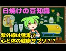 日焼けに関する豆知識【ずんだもん解説】