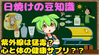 日焼けに関する豆知識【ずんだもん解説】