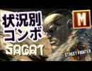 【スト６】モダンサガット状況別コンボ動画【Ver.1.1000.010】