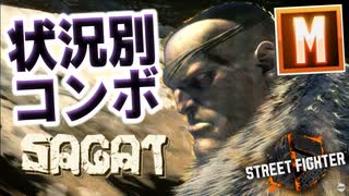 【スト６】モダンサガット状況別コンボ動画【Ver.1.1000.010】