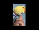 ぬいいいいいいいいいいいいいいいいいいいいいいいいいいいいいいいいいいいいいいいいいいいいいいいいいい