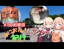 ゆにおね紀行 #14 相模原 リベンジ【CeVIO旅行】
