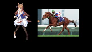 【追悼】名馬グラスワンダーの勇姿をもう一度【ウマ娘】