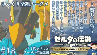 『9種の縛りプレイ＃18』ノーダメージでツンデレバードのリーバルを思い出す全裸リンク【ゼルダの伝説ブレスオブザワイルドswitch２エディション/ゆっくり実況】