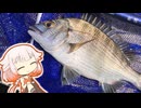 メンタル回復のため延べ竿でのんびりウキ釣りします【いきぬき魚釣り】