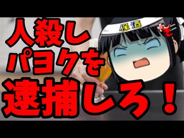 【胸糞】警備員殺しのパヨ婆をオール沖縄がガン擁護！