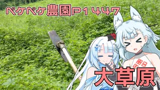 2025年8月9日　農作業日誌P1447　大草原に草刈りに入るけど、半分だけね！