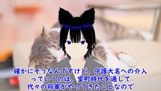 ちょっと詳しい日本史　応仁の乱　その１０