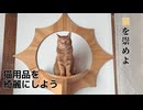 猫用品を綺麗にしよう