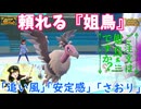 【ポケモンSV】ご注文は『頼れる姐鳥』ですか？【バルジーナ】