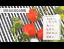 Berry Berry Lady