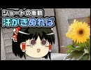 【ゆっくり自由帳】ショートの衝動 汗かきぬれば
