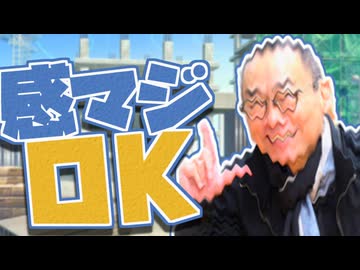 【一人合作】感マジOK