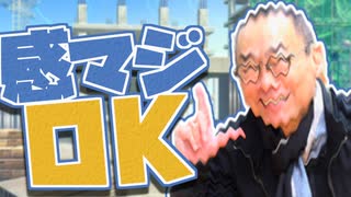 【一人合作】感マジOK