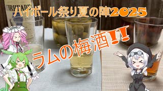 もち子さん達が飲んで食べる動画【ハイボール祭り夏の陣2025】