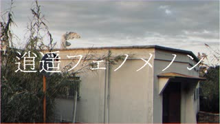 逍遥フェノメノン／分散型自律ゴーレムりむる
