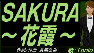 【TONIO】ＳＡＫＵＲＡ～花霞～【カバー曲】