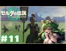 【ティアキン】もう戦うのは「一人」じゃない#11【ゼルダの伝説 ティアーズオブザキングダム】