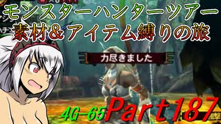 【ゆっくりモンハン】モンスターハンターツアー素材＆アイテム縛りの旅　part187【MH4G】