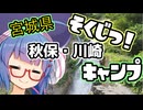 またかよ！即日キャンプ動画！IN宮城県　秋保・川崎町【ウナついキャンプ】