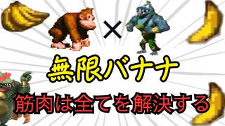 【スーパードンキーコング】1ステージでバナナ何本取れる？ part8【ルールあり ずんだもん実況】