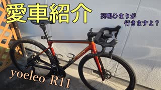 冥鳴ひまりが行きますよ？_愛車紹介（yoeleo R11）