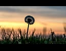 「花響琴SV」Left Behind「オリジナル」- Charo