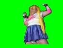 ちょっと太ったセーラームーンGB