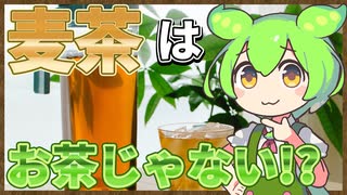 ずんだもんのたべもののヒミツ　-麦茶のヒミツ-