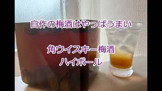 ウイスキー初心者結月ゆかりと番外編【#自作梅酒 2025/5/23角ウイスキー漬】【ハイボール祭り夏の陣2025】