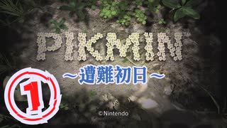 青山くんの就寝前「ピクミン」～遭難初日～