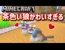 【Minecraft】トロコンを目指すサバイバル生活 part5【マイクラ】