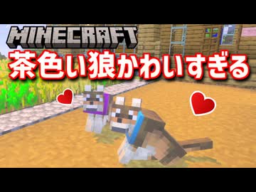 【Minecraft】トロコンを目指すサバイバル生活 part5【マイクラ】