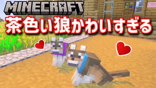 【Minecraft】トロコンを目指すサバイバル生活 part5【マイクラ】