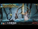 【SHADOW LABYRINTH】第26回　探索回（２つの高エネルギー体を確保しろ）　じっくり攻略実況　シャドウラビリンス