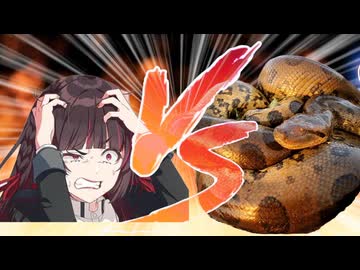 白草四音VSアナコンダ