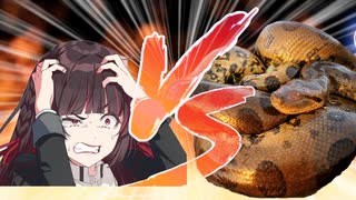 白草四音VSアナコンダ