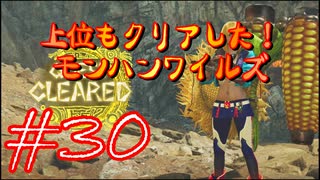 【モンスターハンターワイルズ】上位もクリアした！モンハンワイルズ！＃30【実況プレイ】
