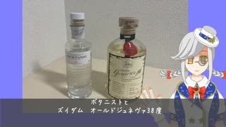 【ハイボール祭り夏の陣2025】みんなジンを飲もう【ボイスソフト自作立ち絵投稿祭】【月白ララ】
